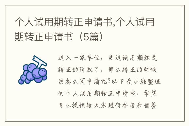 個人試用期轉正申請書,個人試用期轉正申請書（5篇）