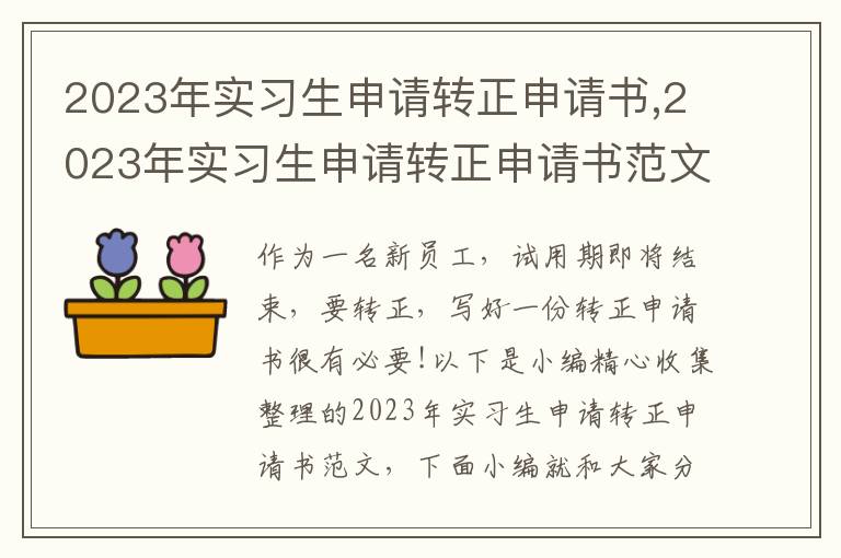 2023年實習生申請轉正申請書,2023年實習生申請轉正申請書范文5篇