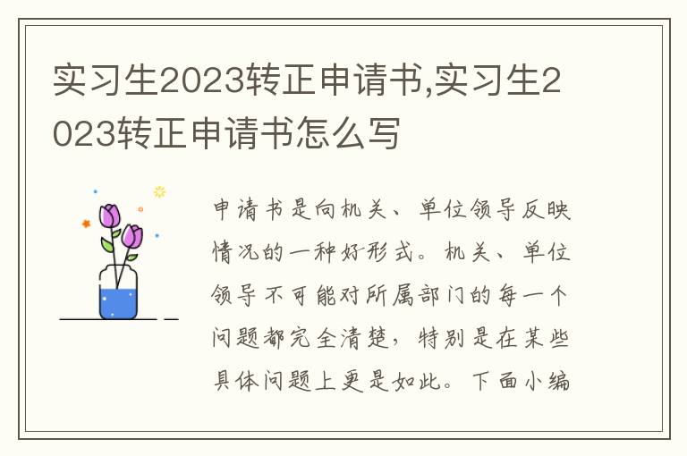 實習生2023轉正申請書,實習生2023轉正申請書怎么寫