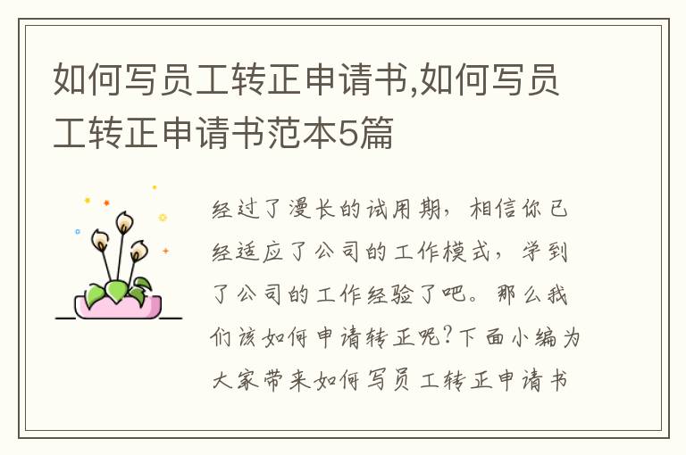 如何寫員工轉正申請書,如何寫員工轉正申請書范本5篇