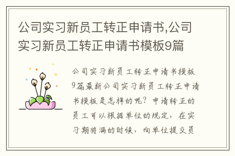 公司實習新員工轉正申請書,公司實習新員工轉正申請書模板9篇