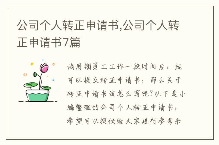 公司個人轉正申請書,公司個人轉正申請書7篇