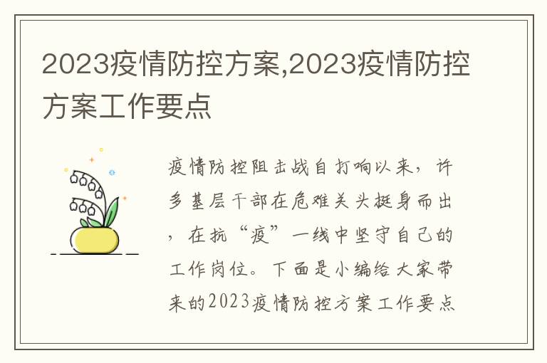 2023疫情防控方案,2023疫情防控方案工作要點