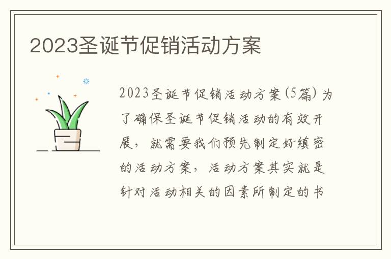 2023圣誕節促銷活動方案