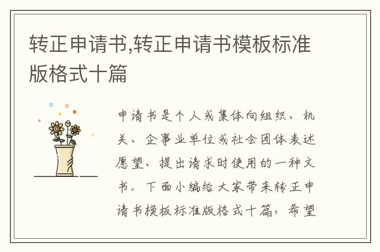 轉正申請書,轉正申請書模板標準版格式十篇