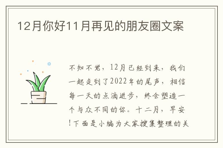 12月你好11月再見的朋友圈文案