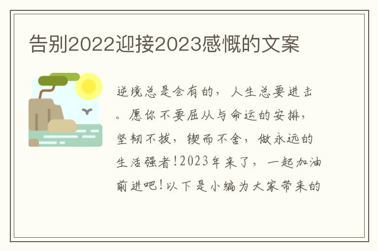 告別2022迎接2023感慨的文案