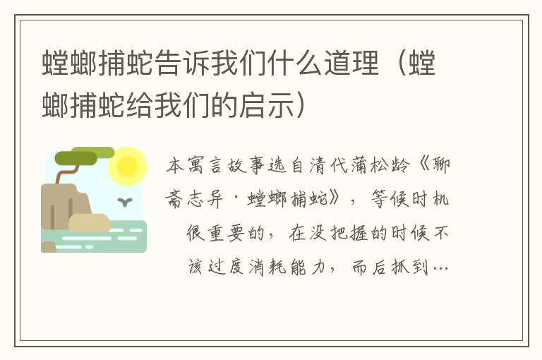 螳螂捕蛇告訴我們什么道理（螳螂捕蛇給我們的啟示）