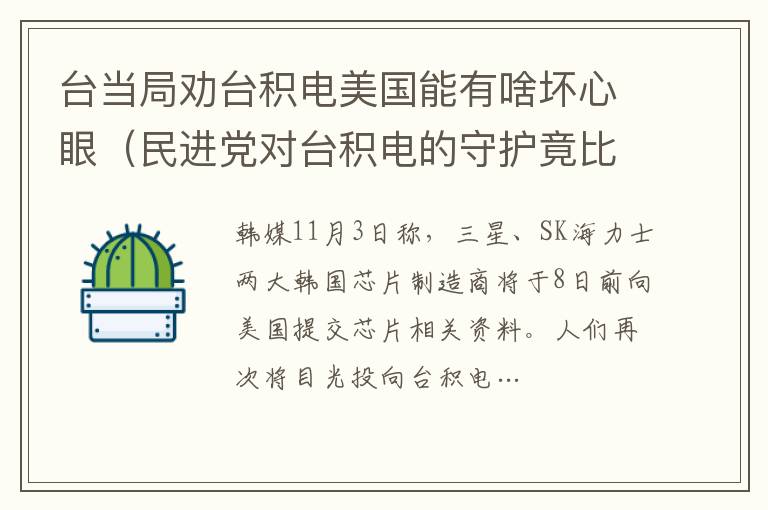 臺當局勸臺積電美國能有啥壞心眼（民進黨對臺積電的守護竟比不上對美國利益的守護）