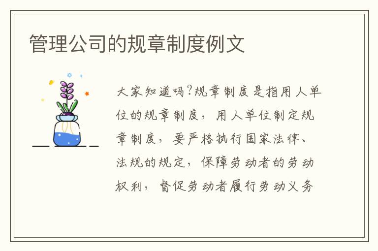 管理公司的規(guī)章制度例文