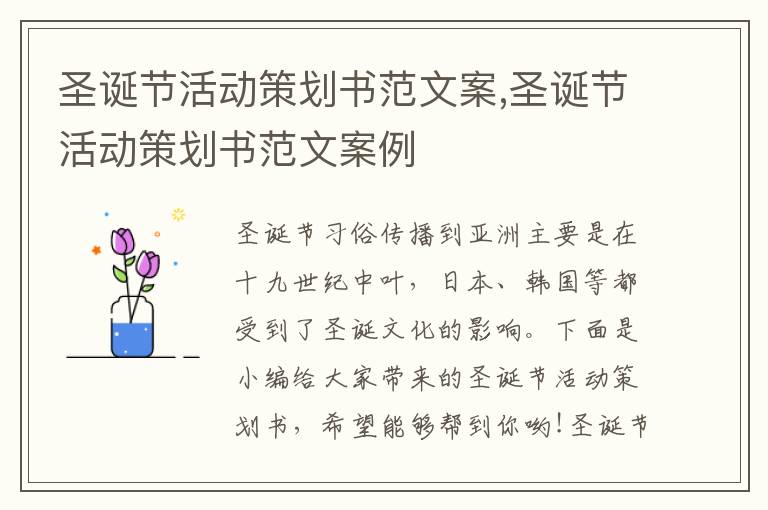 圣誕節活動策劃書范文案,圣誕節活動策劃書范文案例