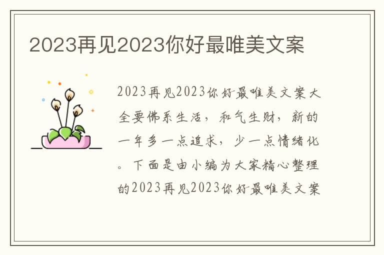 2023再見2023你好最唯美文案