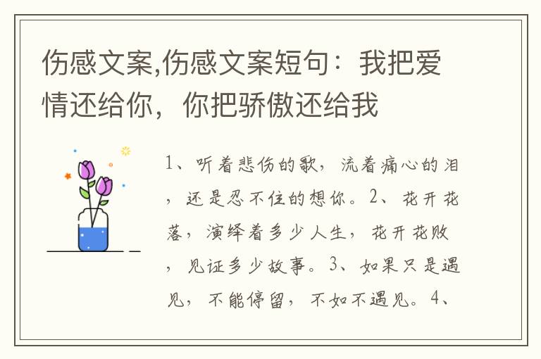 傷感文案,傷感文案短句：我把愛情還給你，你把驕傲還給我