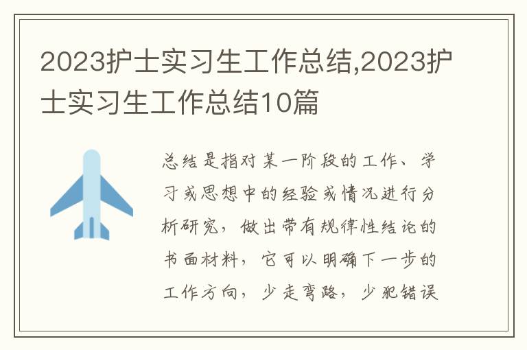 2023護(hù)士實(shí)習(xí)生工作總結(jié),2023護(hù)士實(shí)習(xí)生工作總結(jié)10篇