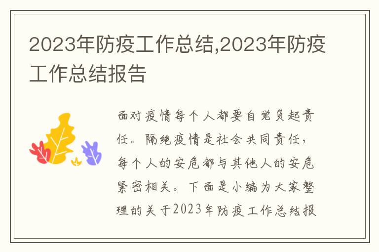 2023年防疫工作總結,2023年防疫工作總結報告