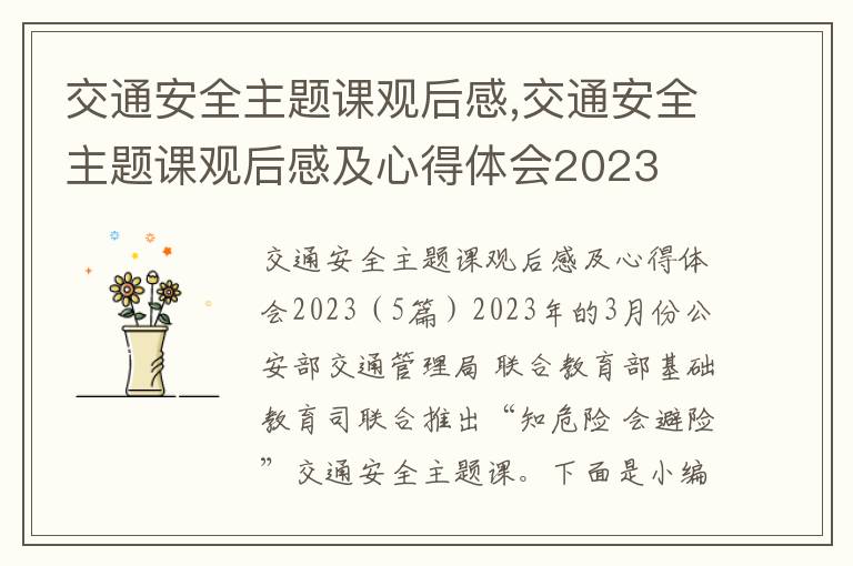 交通安全主題課觀后感,交通安全主題課觀后感及心得體會2023