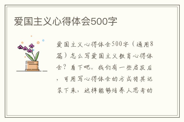 愛國主義心得體會500字