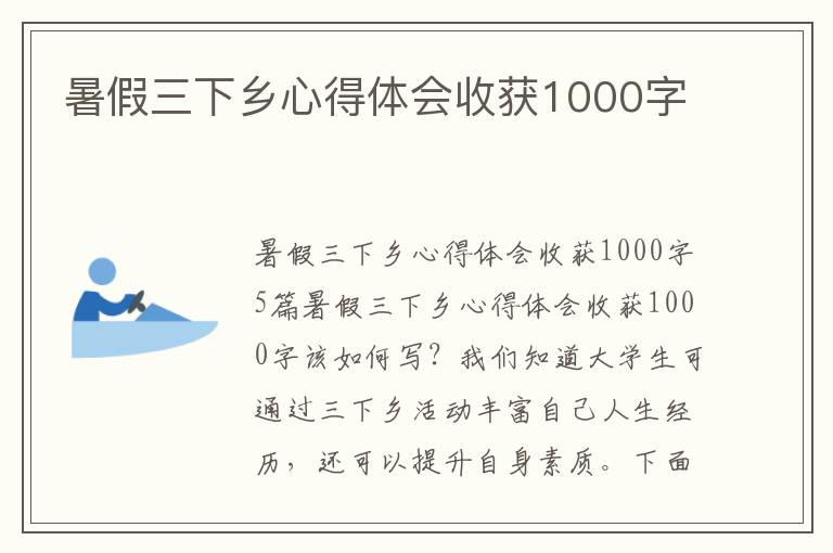 暑假三下鄉心得體會收獲1000字