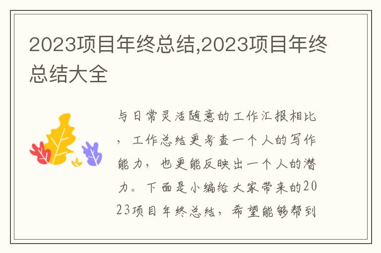 2023項目年終總結,2023項目年終總結大全