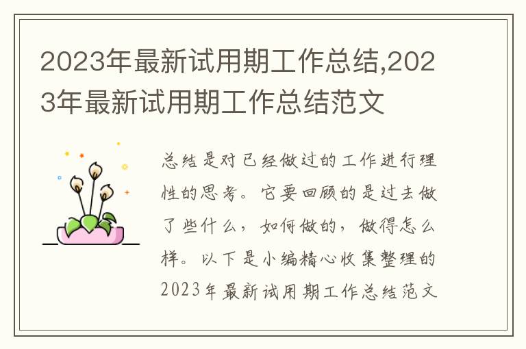 2023年最新試用期工作總結(jié),2023年最新試用期工作總結(jié)范文