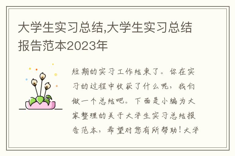 大學(xué)生實習(xí)總結(jié),大學(xué)生實習(xí)總結(jié)報告范本2023年