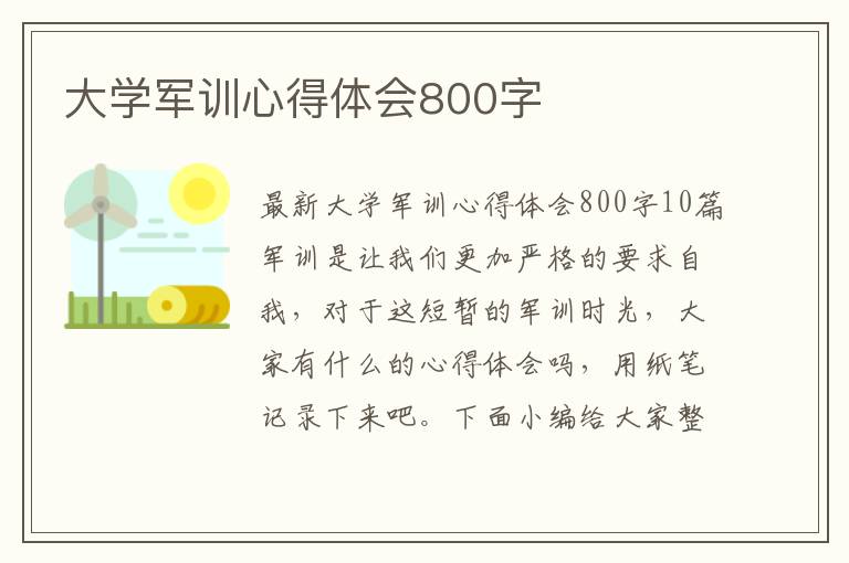 大學軍訓心得體會800字