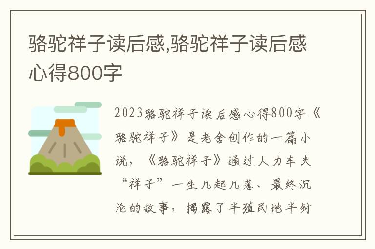 駱駝祥子讀后感,駱駝祥子讀后感心得800字