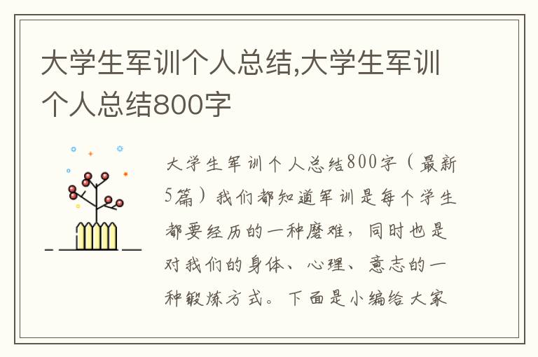 大學生軍訓個人總結,大學生軍訓個人總結800字