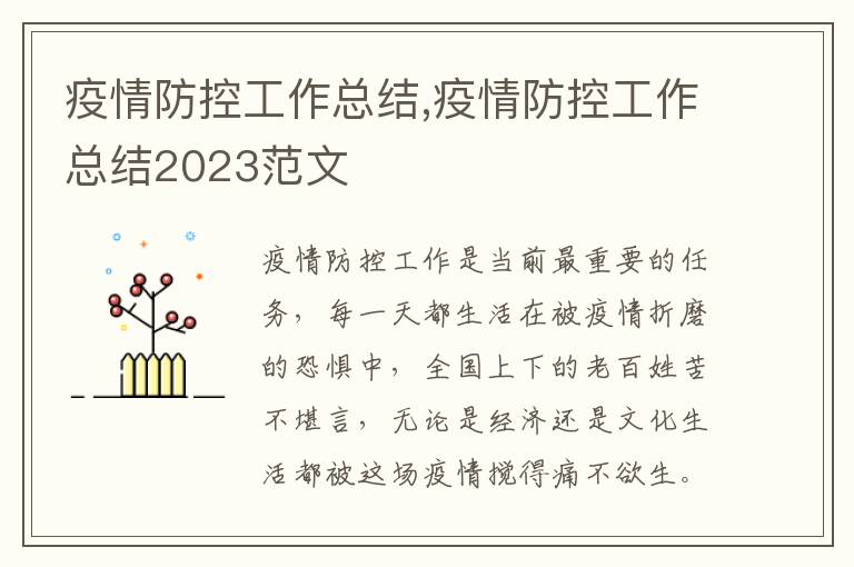 疫情防控工作總結,疫情防控工作總結2023范文