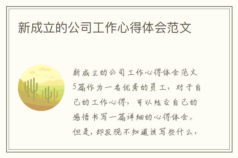 新成立的公司工作心得體會范文