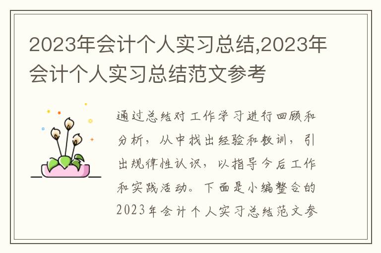 2023年會計個人實習總結,2023年會計個人實習總結范文參考