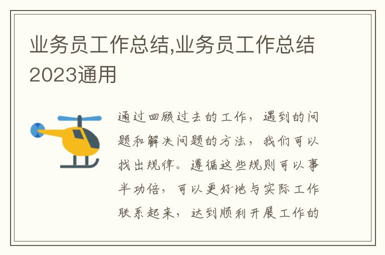 業(yè)務(wù)員工作總結(jié),業(yè)務(wù)員工作總結(jié)2023通用