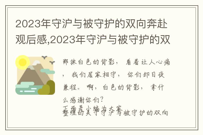 2023年守滬與被守護的雙向奔赴觀后感,2023年守滬與被守護的雙向奔赴觀后感心得