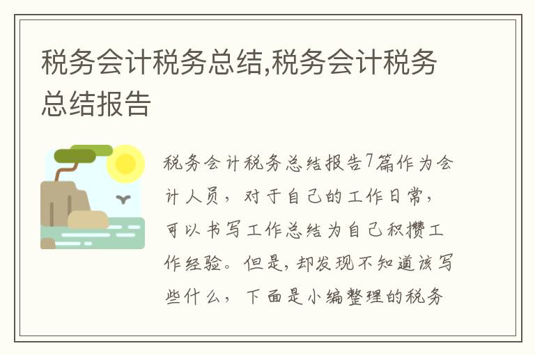 稅務會計稅務總結,稅務會計稅務總結報告