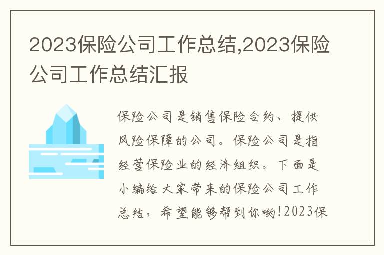 2023保險公司工作總結,2023保險公司工作總結匯報