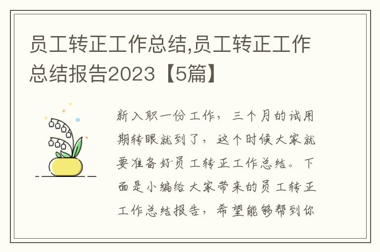 員工轉正工作總結,員工轉正工作總結報告2023【5篇】