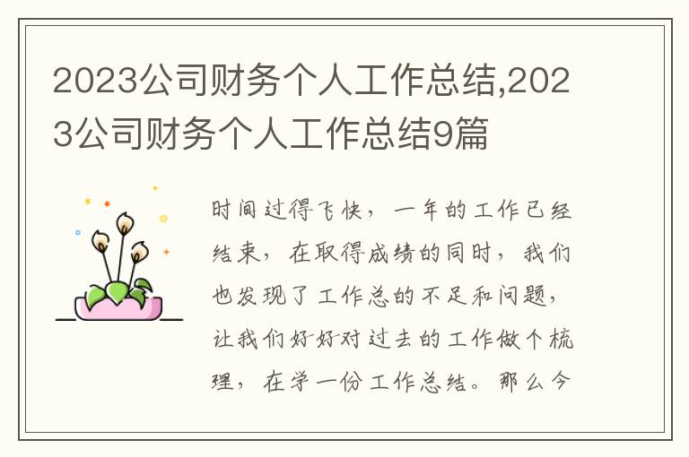 2023公司財務(wù)個人工作總結(jié),2023公司財務(wù)個人工作總結(jié)9篇