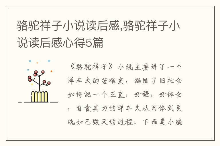 駱駝祥子小說讀后感,駱駝祥子小說讀后感心得5篇