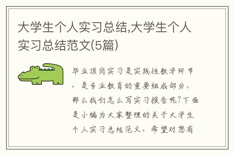 大學生個人實習總結,大學生個人實習總結范文(5篇)