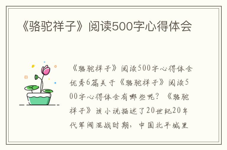 《駱駝祥子》閱讀500字心得體會