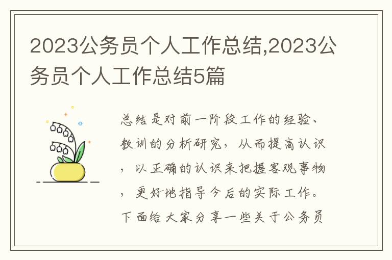 2023公務員個人工作總結,2023公務員個人工作總結5篇