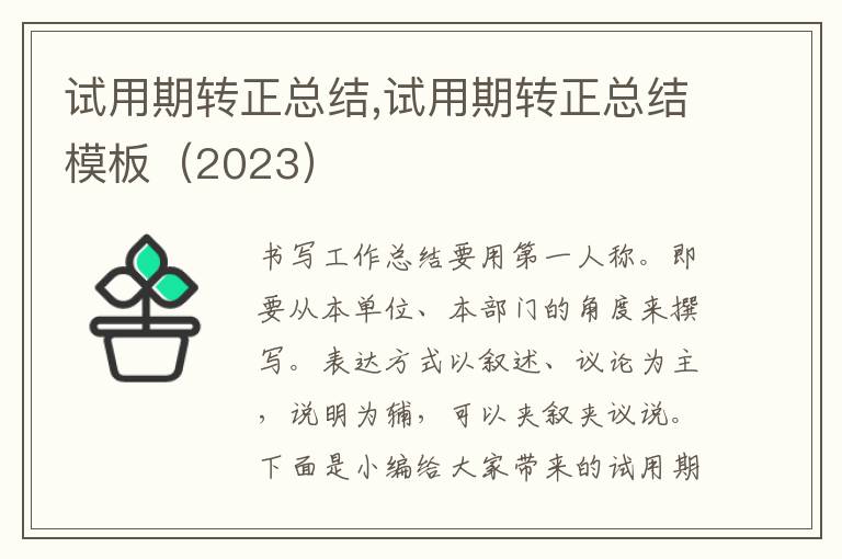 試用期轉(zhuǎn)正總結(jié),試用期轉(zhuǎn)正總結(jié)模板（2023）