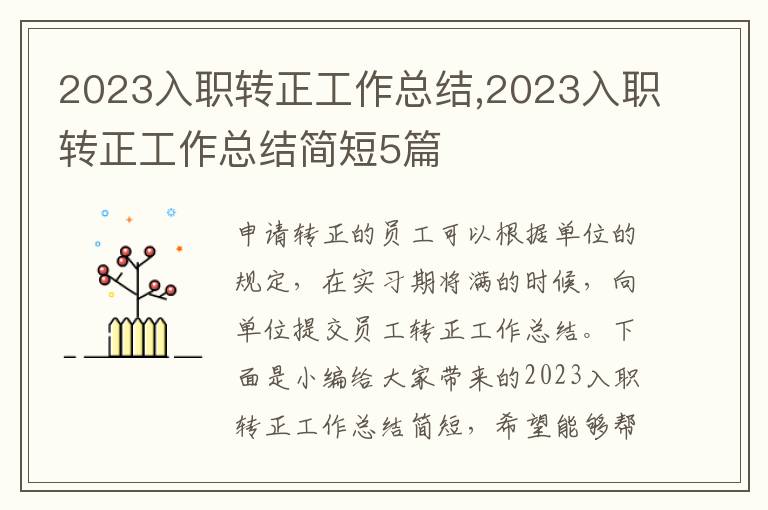 2023入職轉(zhuǎn)正工作總結(jié),2023入職轉(zhuǎn)正工作總結(jié)簡短5篇