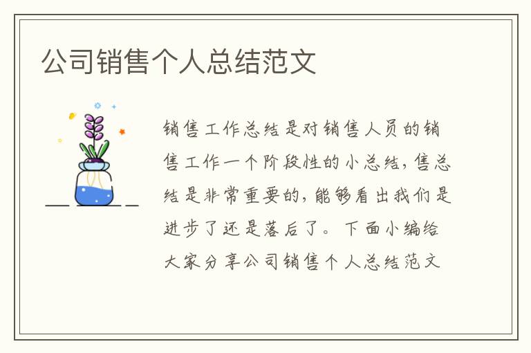 公司銷售個人總結范文