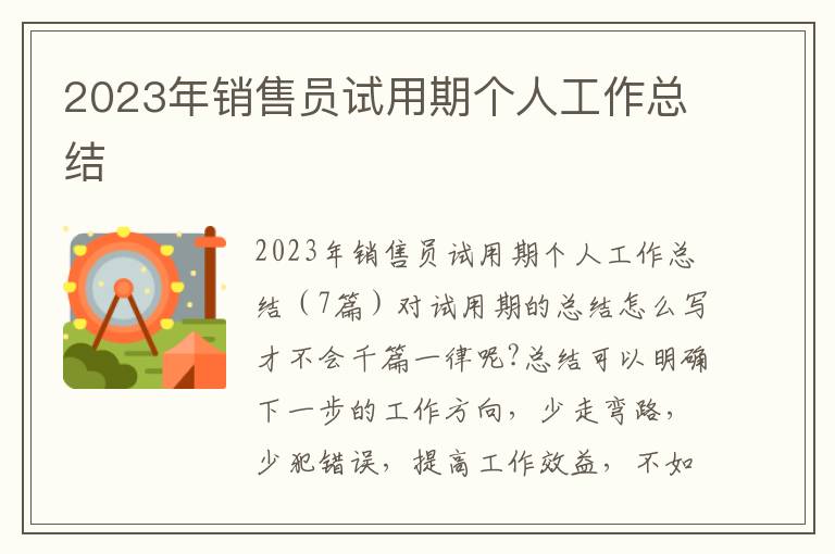 2023年銷售員試用期個人工作總結