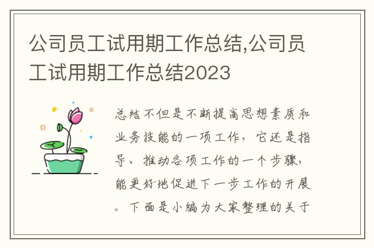 公司員工試用期工作總結(jié),公司員工試用期工作總結(jié)2023