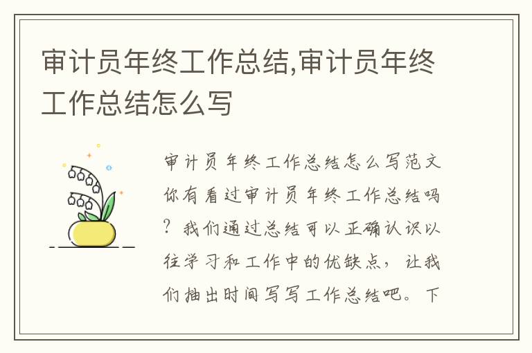 審計員年終工作總結,審計員年終工作總結怎么寫