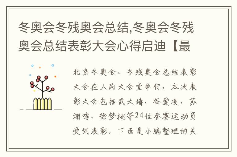 冬奧會冬殘奧會總結,冬奧會冬殘奧會總結表彰大會心得啟迪【最新】