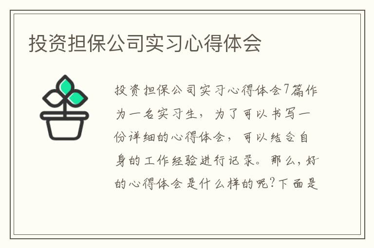 投資擔保公司實習心得體會