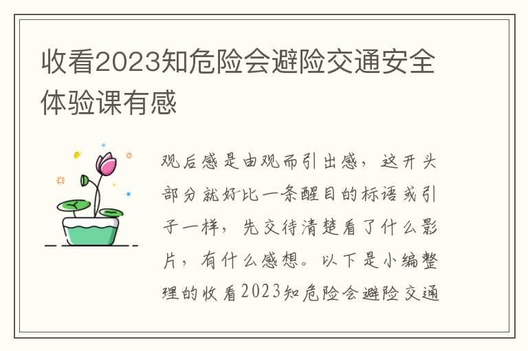 收看2023知危險會避險交通安全體驗課有感